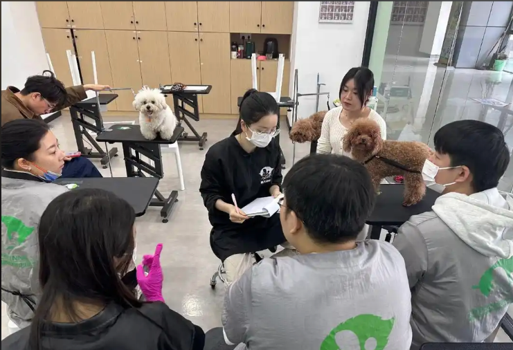 威海市宠物美容师宠物美容培训学校 - 排名